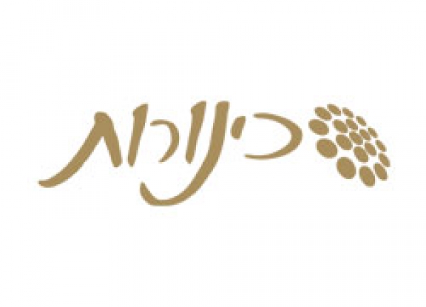 כינורות- המקום להגשים חלום